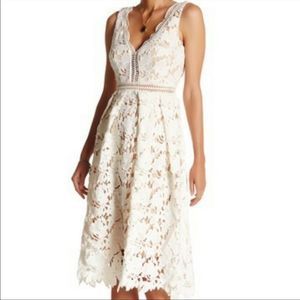 Romeo + Juliet Couture Dress